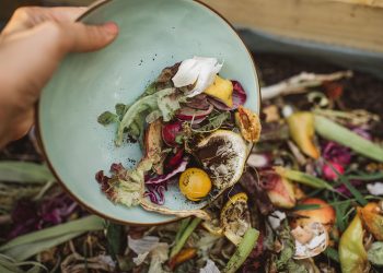 Indonesia Juara 1 dalam Membuang Makanan di ASEAN!