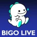 bigo live judi online