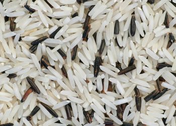 Kenaikan Harga Beras dalam Pekan ini Agustus 2024