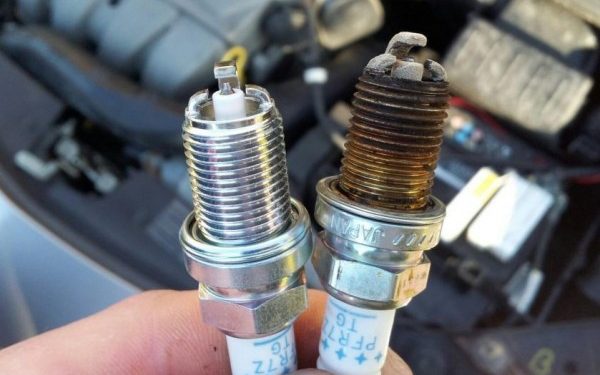 busi motor basah oli