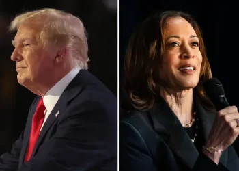 kamala harris trump