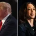 kamala harris trump
