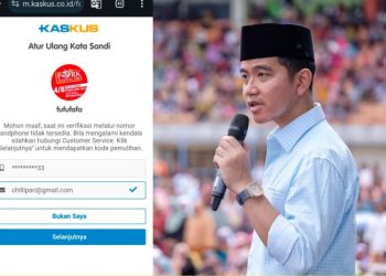 rocky gerung fufufafa gibran