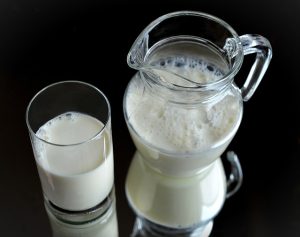 susu ikan