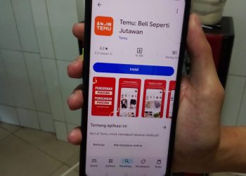 Aplikasi Temu Playstore