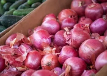 bawang merah indonesia