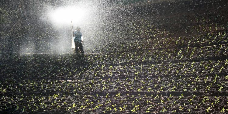 Wamentan Pastikan Pupuk Subsidi Aman Terkendali, Tapi Tekankan Ini bagi Petani