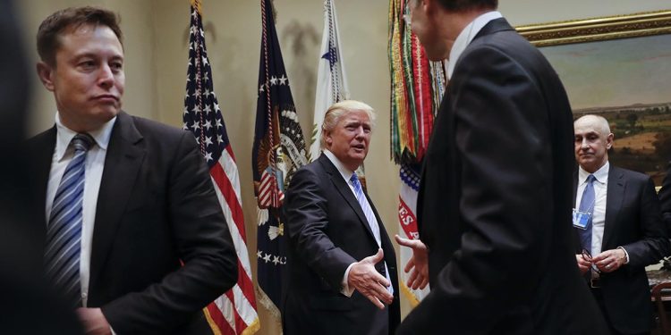 Trump Elon Musk