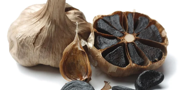 fermentasi black garlic