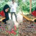 makam nia penjual gorengan