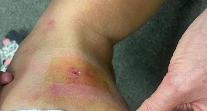 turis australia tomcat