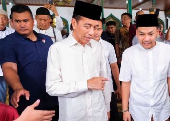 Jokowi parcok