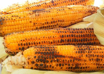 jagung bakar tahun baru