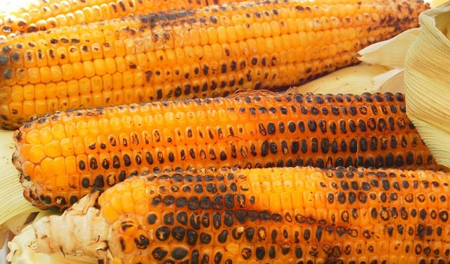 jagung bakar tahun baru