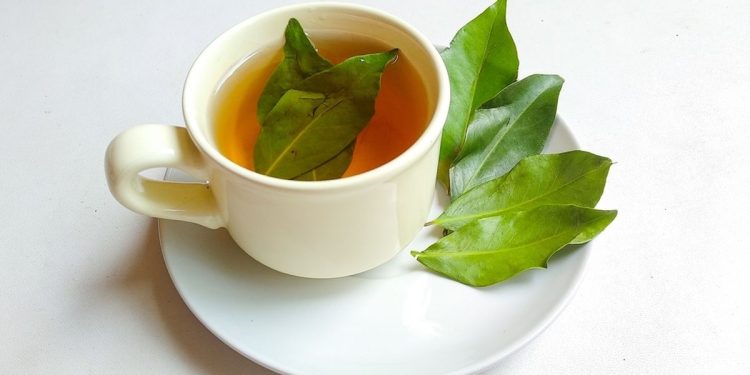 air rebusan daun salam