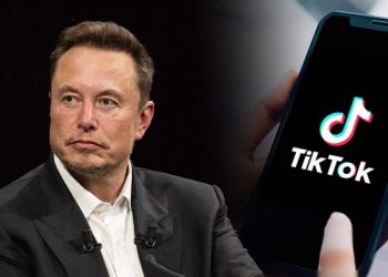 tiktok elon musk