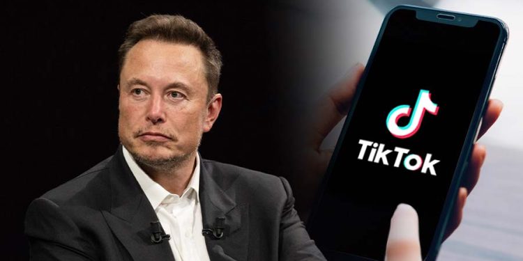 tiktok elon musk