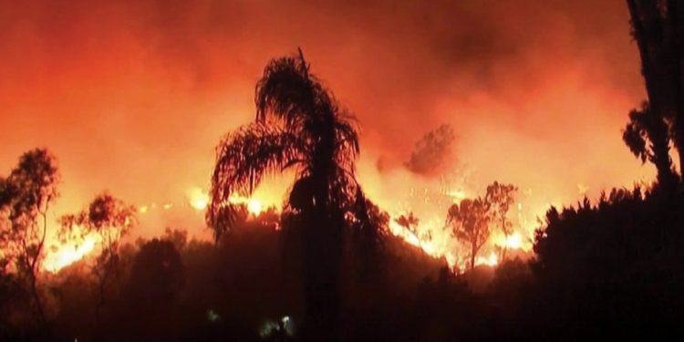 kebakaran hutan Los angeles