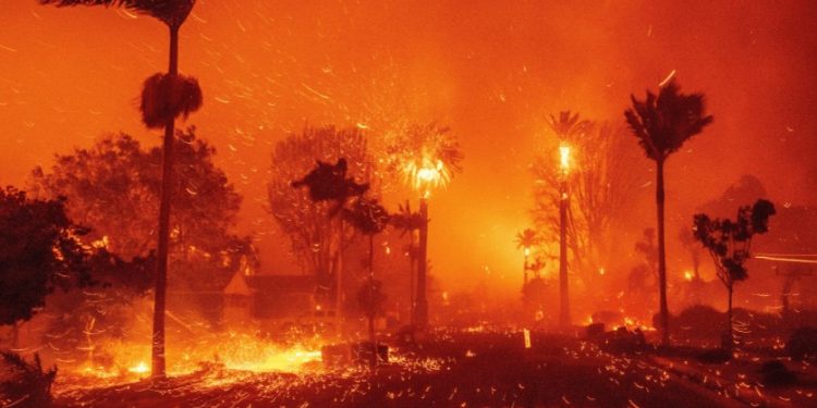 kebakaran hutan los angeles (2)