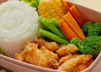 makanan basi makanan siang gratis