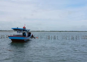 pagar laut tangerang (2)