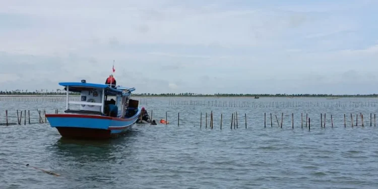 pagar laut tangerang (2)