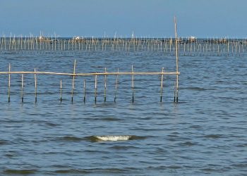 Pagar laut Tangerang