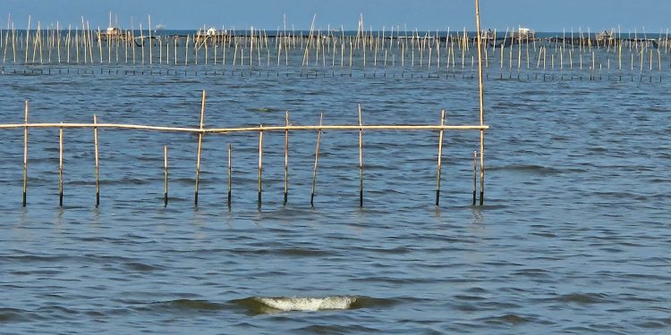 Pagar laut Tangerang