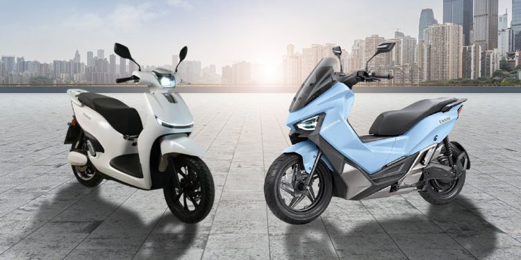 Adora vs Maka Cavalry