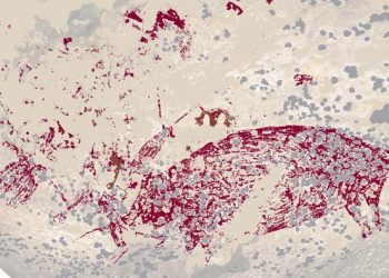 lukisa manusia babi hutan