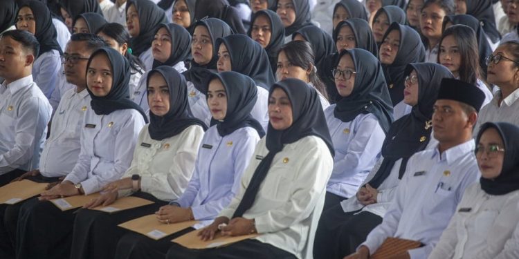 pengangkatan cpns pppk