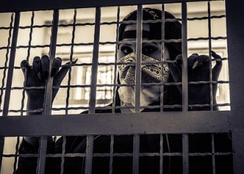 sindikat narkoba internasional